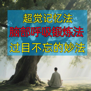 过目不忘修炼记忆力脑部呼吸锻炼法改造大脑健身气功养生训练方法-多平台虚拟货源网