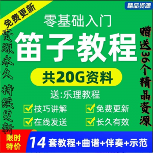 零基础笛子教程自学入门进阶视频初学者教学成人儿童学竹笛教材全-多平台虚拟货源网