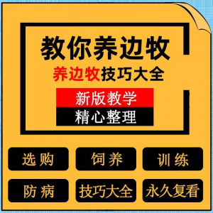 边牧训练方法教程边境牧羊犬驯养技术饲养喂养选购训犬技巧大全套-多平台虚拟货源网