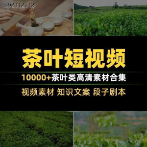 茶叶茶业茶具茶道茶艺茶文化知识文案茶园采茶泡茶高清短视频素材-多平台虚拟货源网