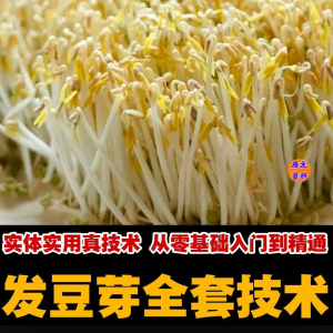 自学发豆芽技术资料豆芽加工制作方法教学 培育豆芽商用视频教程-多平台虚拟货源网