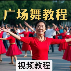 中老年广场舞视频下载高清视频教学打包MP4 MP3背面动作分解教程-多平台虚拟货源网