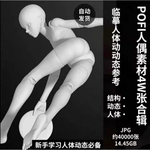 pofi无限人偶4W截图绘画素材pofi无线人偶人体动态学习素材临摹-多平台虚拟货源网