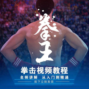 拳击教学视频 自学教程 训练零基础运动入门健身搏击格斗武术课程-多平台虚拟货源网