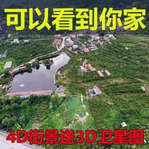 3D高清卫星地图影像2024图源导航定位3d立体地图手机永久免费-多平台虚拟货源网