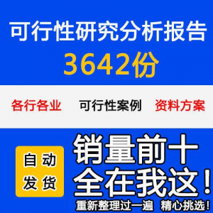 项目可行性研究分析报告案例品牌融资投资研究资料方案大全模板-多平台虚拟货源网