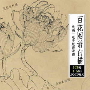 百花图谱白描线稿图集 国画花卉植103幅tif格式3.6G高清图片素材-多平台虚拟货源网