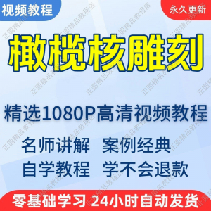 橄榄核雕刻视频学习教程新手自学零基础入门精通教学课程全集-多平台虚拟货源网