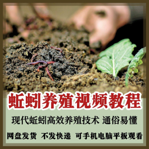 蚯蚓养殖技术视频教程素材零基础农业创业大棚如何养蚯蚓高效素材-多平台虚拟货源网