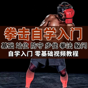 全套拳击指导视频教程自学零基础小白入门自卫搏击格斗防护资料-多平台虚拟货源网