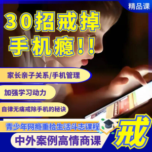 戒瘾网瘾视频教程全套管理技巧亲子关系学习动力在线课程-多平台虚拟货源网